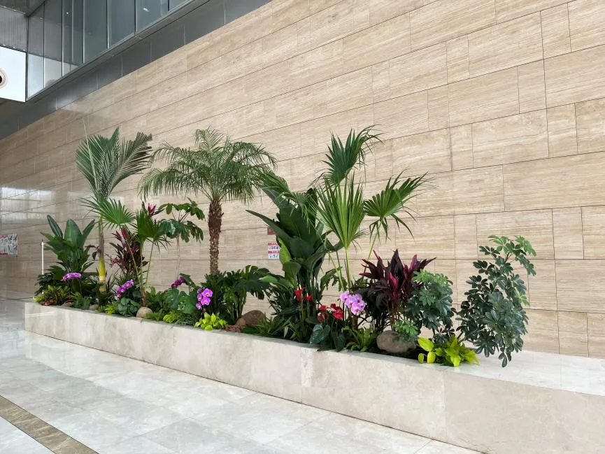 杭州湾花木租摆，服务超贴心，快来体验吧！