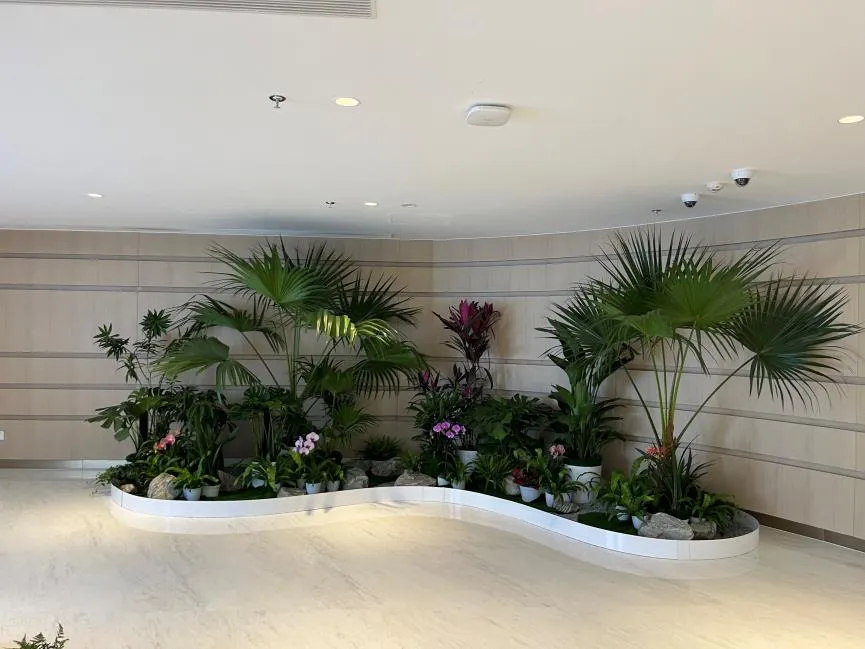 宁波鄞州绿化养护哪家好